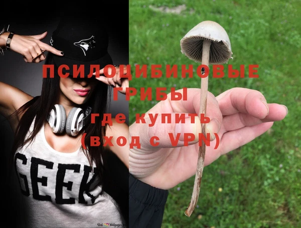 Альфа ПВП Баксан